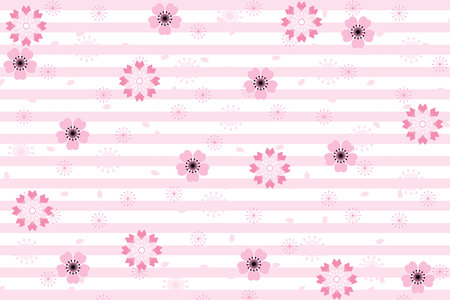 Illustration, pattern abstract of sakura flower and petals falling with light pink line on white background.のイラスト素材