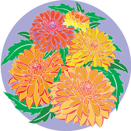 Illustration of Chrysanthemum flower with leaves on soft violet background.のイラスト素材