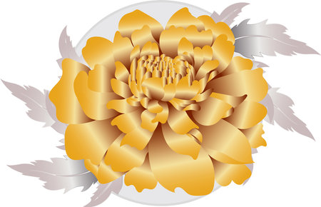 Illustration of golden Chrysanthemum flower with leaves on soft grey background.のイラスト素材