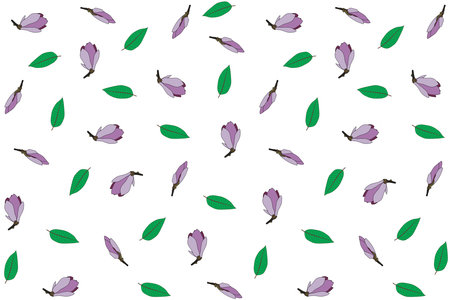 Illustration pattern of verbanica saucer magnolia flower with leaf on white background.のイラスト素材