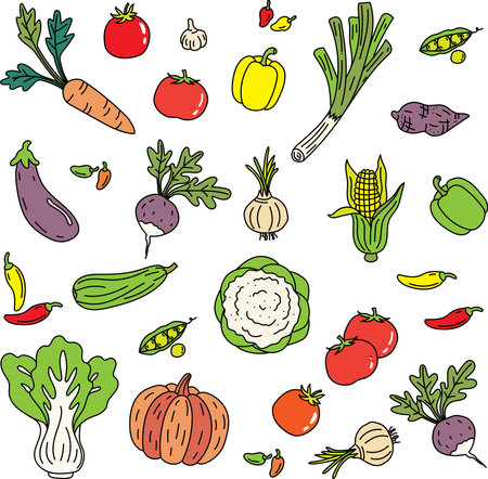 Illustration of vegetable group on empty  background.のイラスト素材
