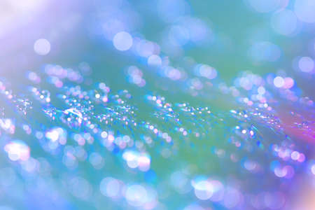 Abstract water drop bokeh on platter colorful fresh beautiful use as celebration festival concept background image.の写真素材