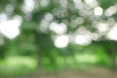 Abstract blurry background of lush natural garden gives a refreshing feeling with bokeh.の写真素材
