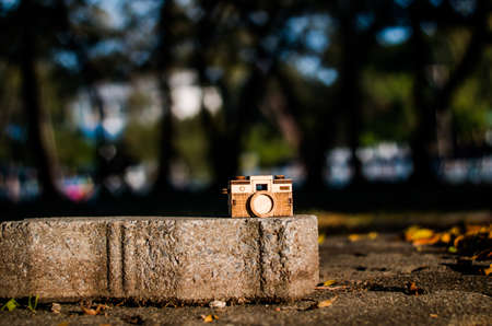 focus camera wood select background