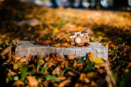 focus camera wood select backgroundの写真素材