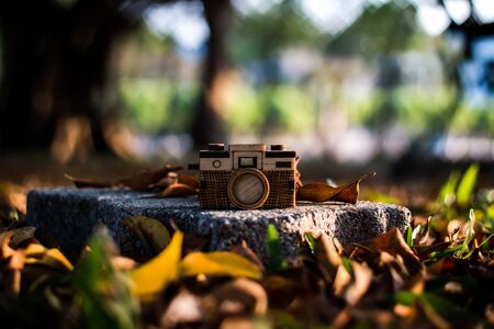 focus camera wood select backgroundの写真素材