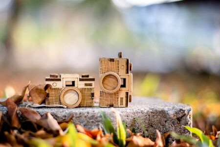 focus camera wood select background