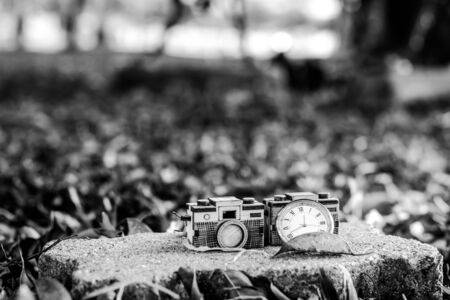 focus camera wood select backgroundの写真素材