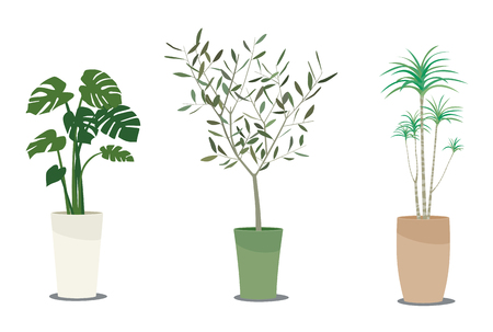 Foliage plants icon.のイラスト素材