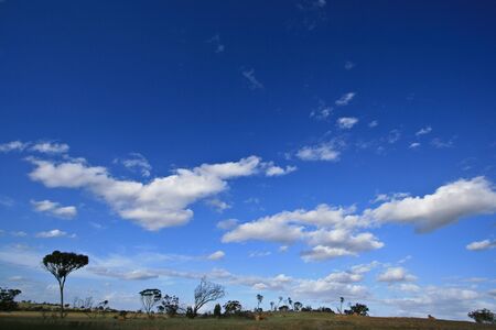 blue sky and clouds taken from way to  Perth from Bunbury Australiaの写真素材