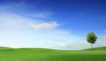 Summer landscape with cloudy sky, green grass and treesの写真素材