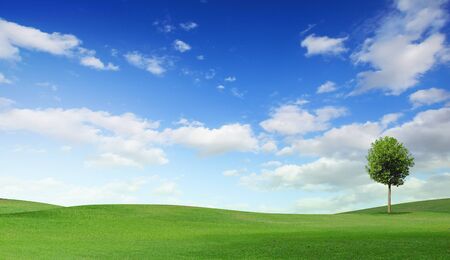 Summer landscape with cloudy sky, green grass and treesの写真素材