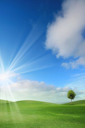 Summer landscape with cloudy sky, green grass and treesの写真素材