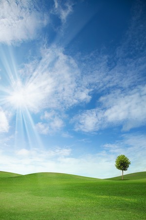 Summer landscape with cloudy sky, green grass and treesの写真素材