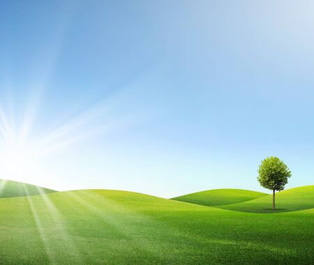 Summer landscape with cloudy sky, green grass and treesの写真素材