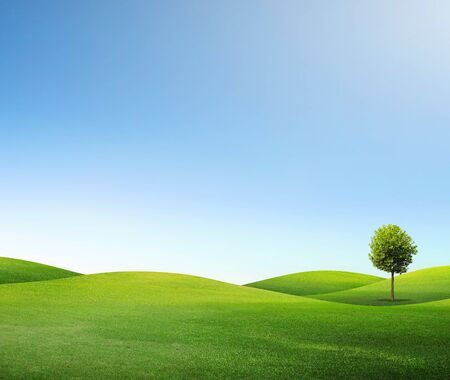 Summer landscape with cloudy sky, green grass and treesの写真素材