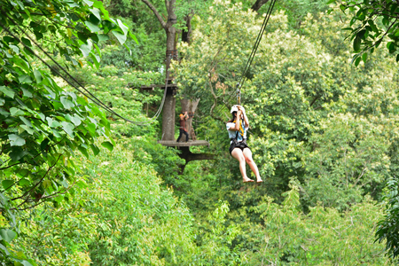The-Giant-Chiangmai-Adventures-Coffee-Thailandの写真素材