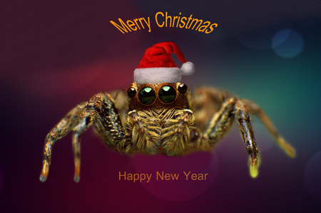 Merry Christmas happy New Yearの写真素材