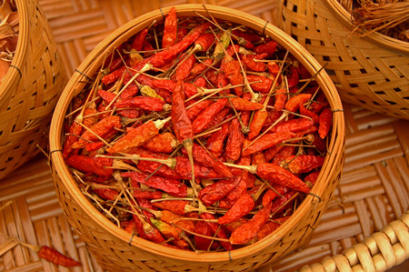 Thailand Chili Herbsの写真素材