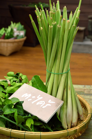 Thailand lemongrass  Herbsの写真素材