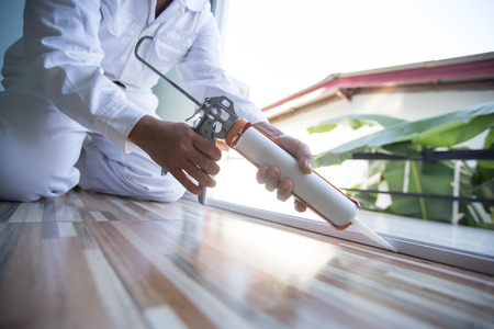 gun with silicon.の写真素材