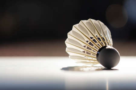 The badminton shuttlecock is placed on a white surface for competition useの素材 [FY310166280250]