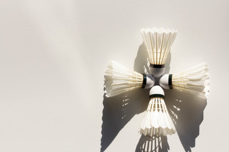 The badminton shuttlecock is placed on a white surface for competition useの写真素材