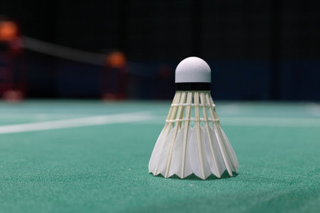 shuttlecock on badminton court, badminton sport