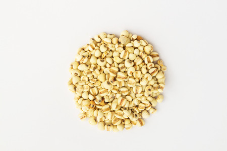 Millet (grain) in isolate on white.の写真素材