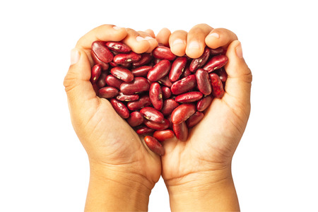 red beans (grain) in  hand in isolate on white.の写真素材