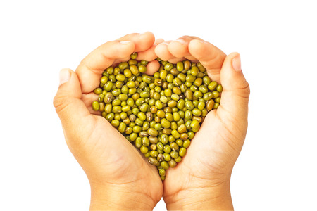 green beans (grain) in  hand in isolate on white.の写真素材