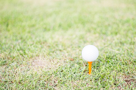 Golf ball on grass.の写真素材