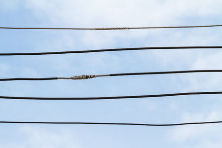 Wires arranged on a background of the sky.の写真素材