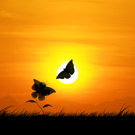 Silhouette butterflies and flowers against a backdrop beautiful sunset.の写真素材