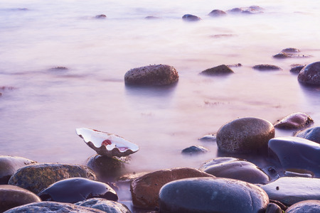 Seascape, still life. Dairy, calm water, wet stones and a large sink.  Stones and the sea.