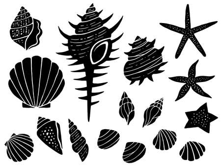 Seashell and starfish silhouette illustration setのイラスト素材