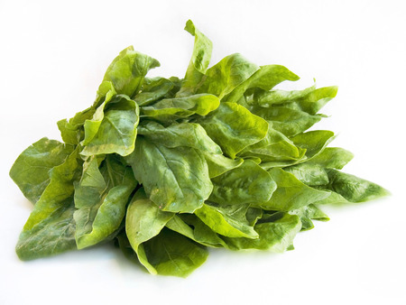 Fresh spinach isolated on white background