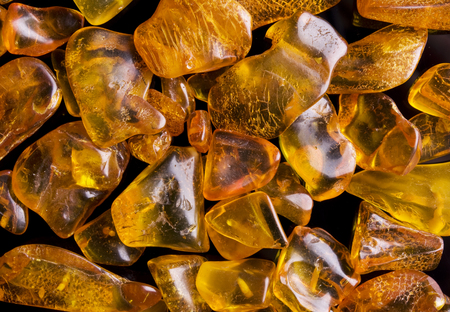 Amber isolated on black backgroundの写真素材