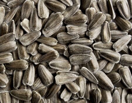 Sunflower seed background