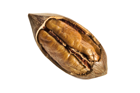 Open pecan nut isolated on white backgroundの写真素材