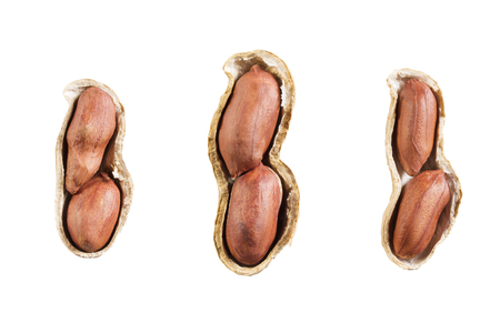 Peanuts isolated on white background