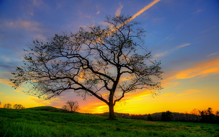Amazing Nature Around the Worldの写真素材