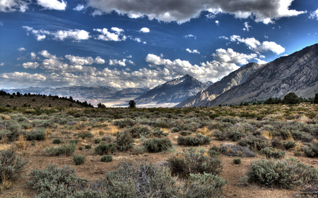 Amazing Nature Around the Worldの写真素材