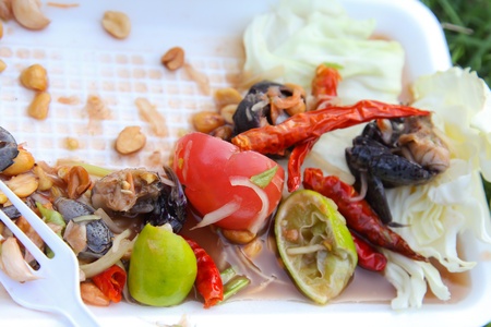 papaya salad leftの写真素材