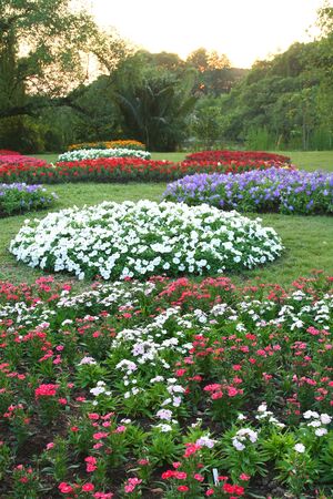 Flower gardenの写真素材