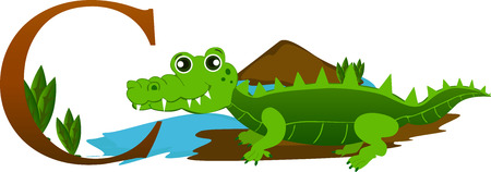 Cute crocodile alphabet Zoo for kids to learn letter C.のイラスト素材
