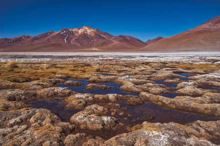 Salt deposits on the lowlands of the Atacama Desert with shallow water and high mountain peaks, Chileの写真素材