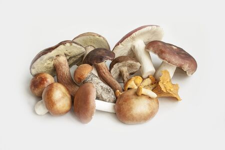 Plants. Food. Summer cepes different on a white backgroundの写真素材