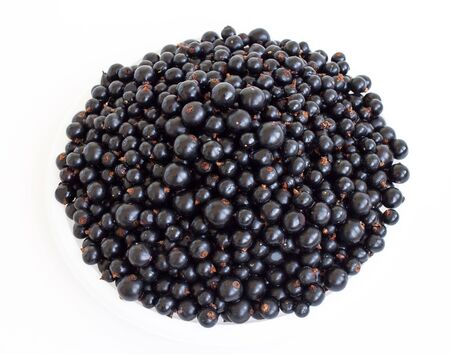 Food. Berry black a small group on a white backgroundの写真素材