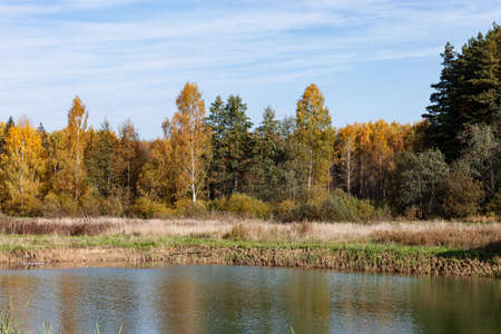 Autumn landscape on a sunny day. Forest and lake